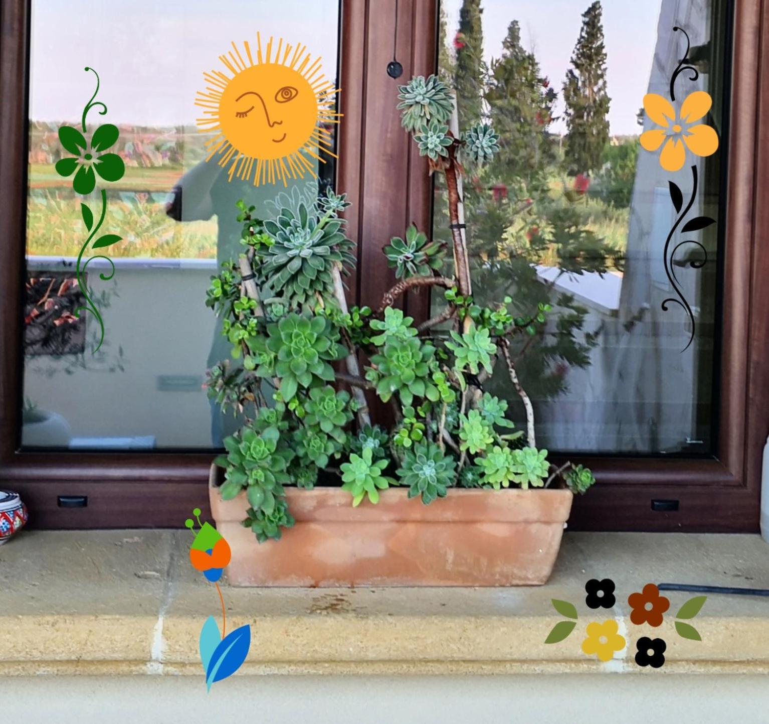 Torchiarolo B&B La Lumaca מראה חיצוני תמונה